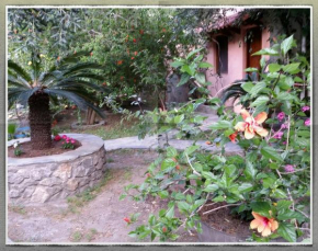 Stunning 2-Bedrooms private Cottage in Palaiochora